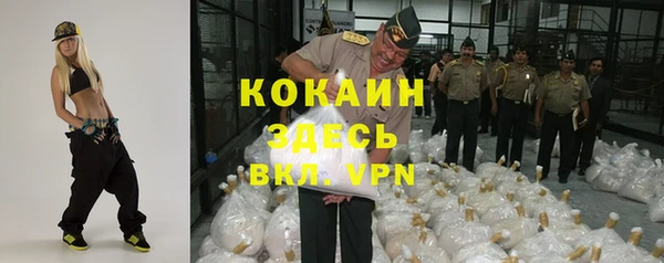 крисы Армянск