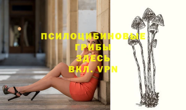 круглые Арсеньев