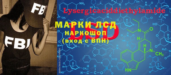 крисы Армянск