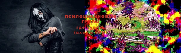 экстази Михайлов